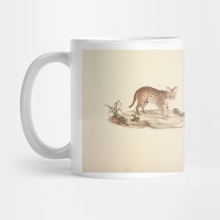 African Wildcat or Serval by by Luigi Balugani Mug